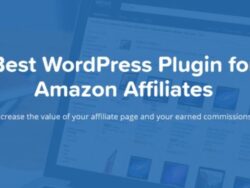 Aawp 3 30 9 WordPress Plugin For Amazon Affiliates