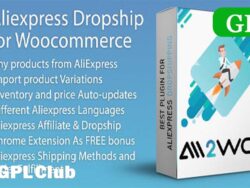Aliexpress Dropshipping Business Plugin For Woocommerce 1 16 9