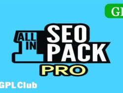 All In One Seo Pro Wordpress Plugin