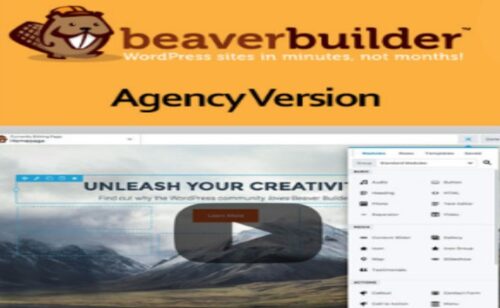 Beaver Builder Plugin Agency Version V2 8 0 6