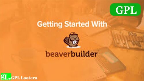 Beaver Builder Professional Wordpress Plugin