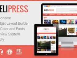 Delipress 3 9 Magazine And Review Wordpress Theme