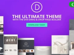 Divi Premium Bundle