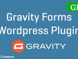 Gravity Forms Wordpress Plugin