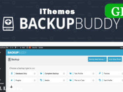 Ithemes Backupbuddy Wordpress Plugin