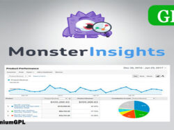 Monsterinsights Ecommerce Addon 7 3 8 Wordpress Plugin