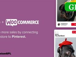 Pinterest For Woocommerce 2 3 1