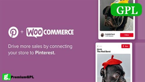 Pinterest For Woocommerce 2 3 1