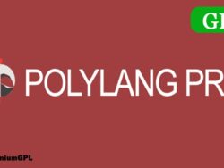 Polylang Pro 2 9