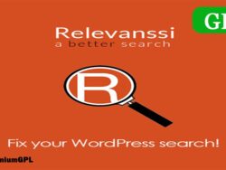 Relevanssi Premium 2 11 1