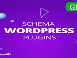 Schema Pro Wordpress Plugin