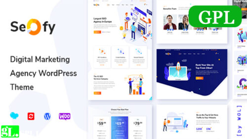 Seofy Seo Digital Marketing Wordpress Theme