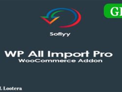 Soflyy Wp All Import Pro Woocommerce Addon 3 2 5