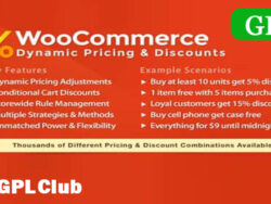 Woocommerce Dynamic Pricing Discounts 2 3 9