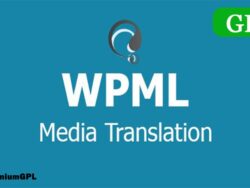 Wordpress Multilingual Media Add On 2 6 2