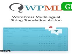 Wordpress Multilingual String Translation Addon 3 1 6
