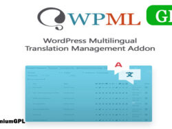 Wordpress Multilingual Translation Management Addon 2 10 4