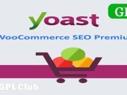 Yoast Woocommerce Seo Premium 13 8
